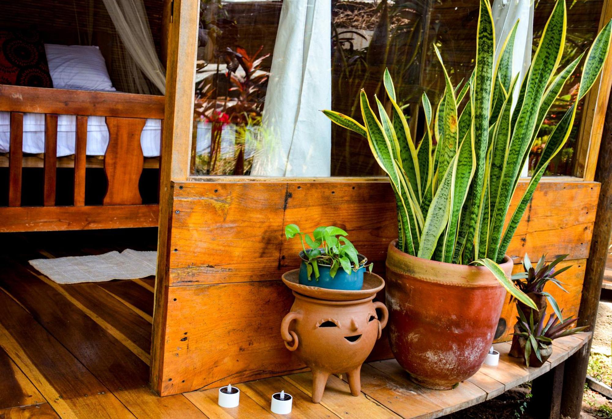 Casa Caracola Hotell Granada Eksteriør bilde