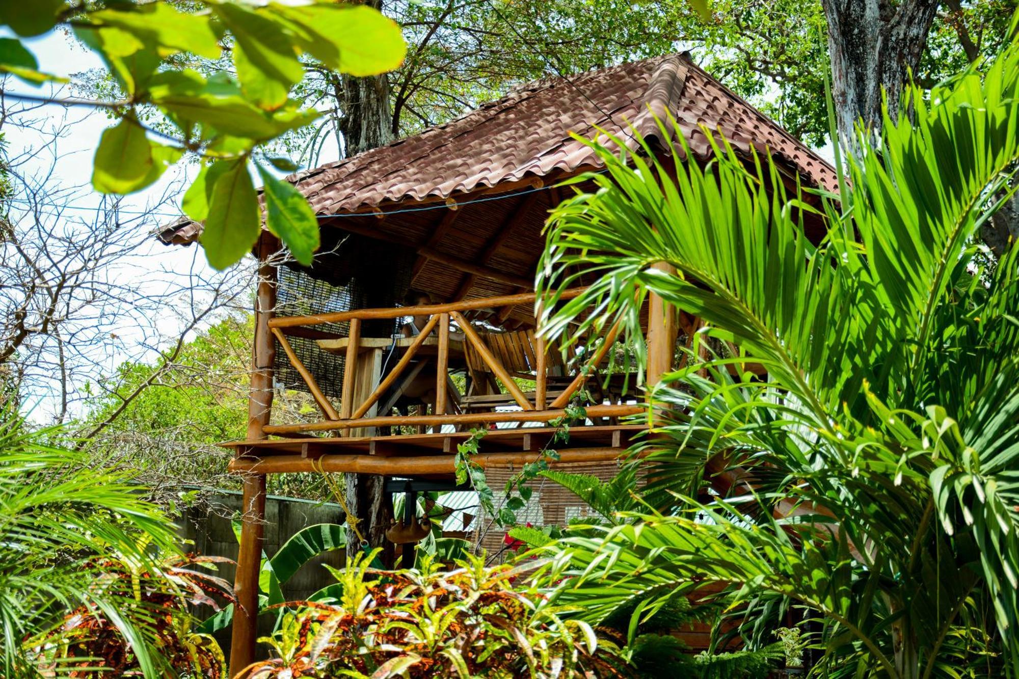 Casa Caracola Hotell Granada Eksteriør bilde